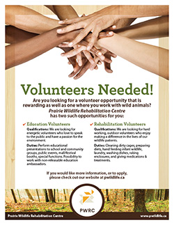 PWRC Volunteers Needed Poster